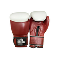 TBL Boxing Gloves